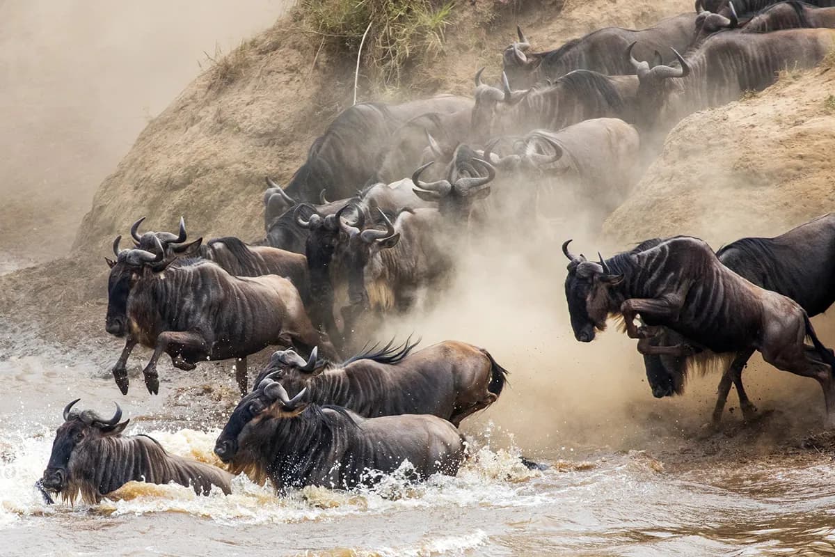Serengeti-Nationalpark
