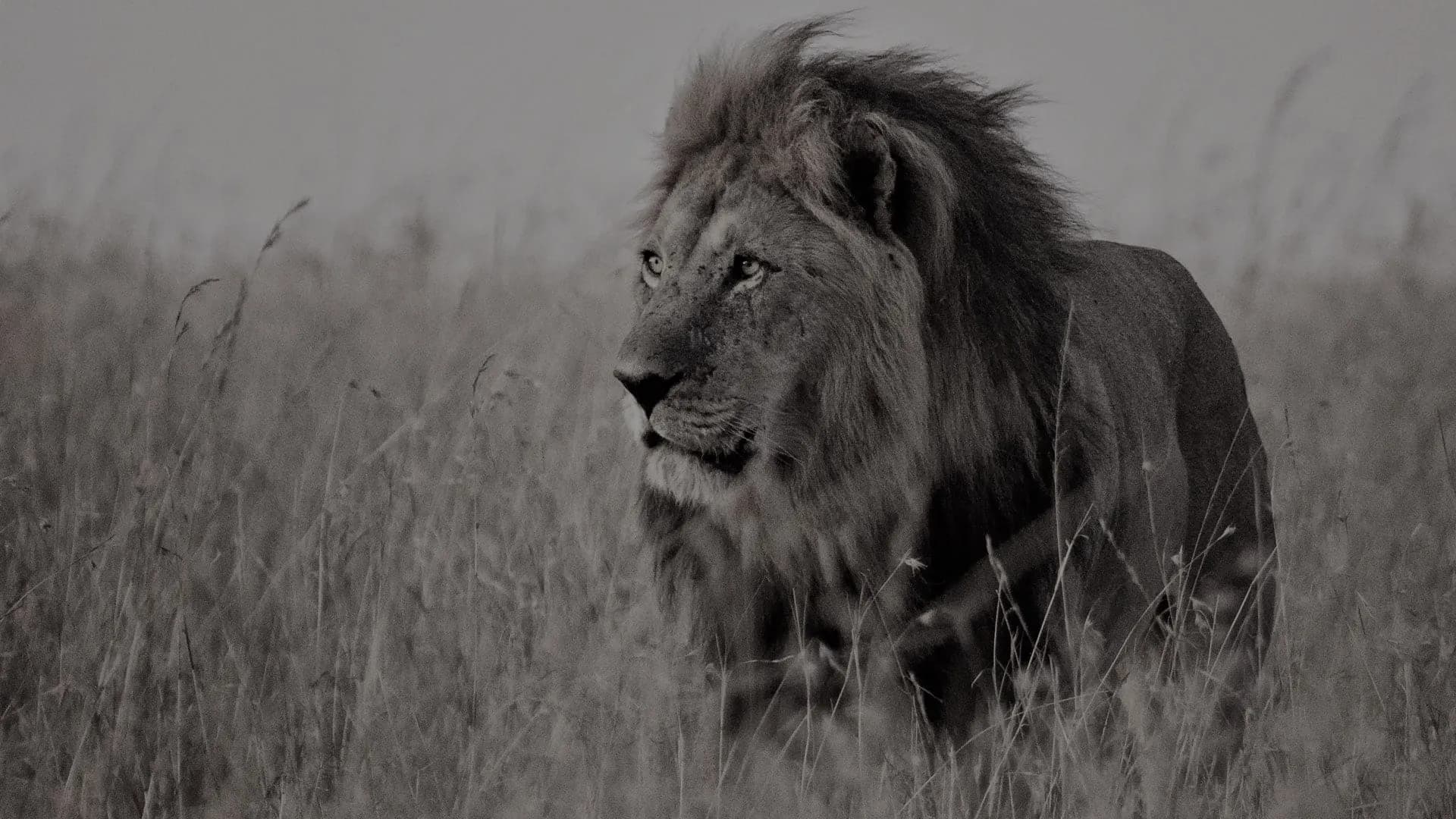 12 Days Tanzania Kenya Expedition