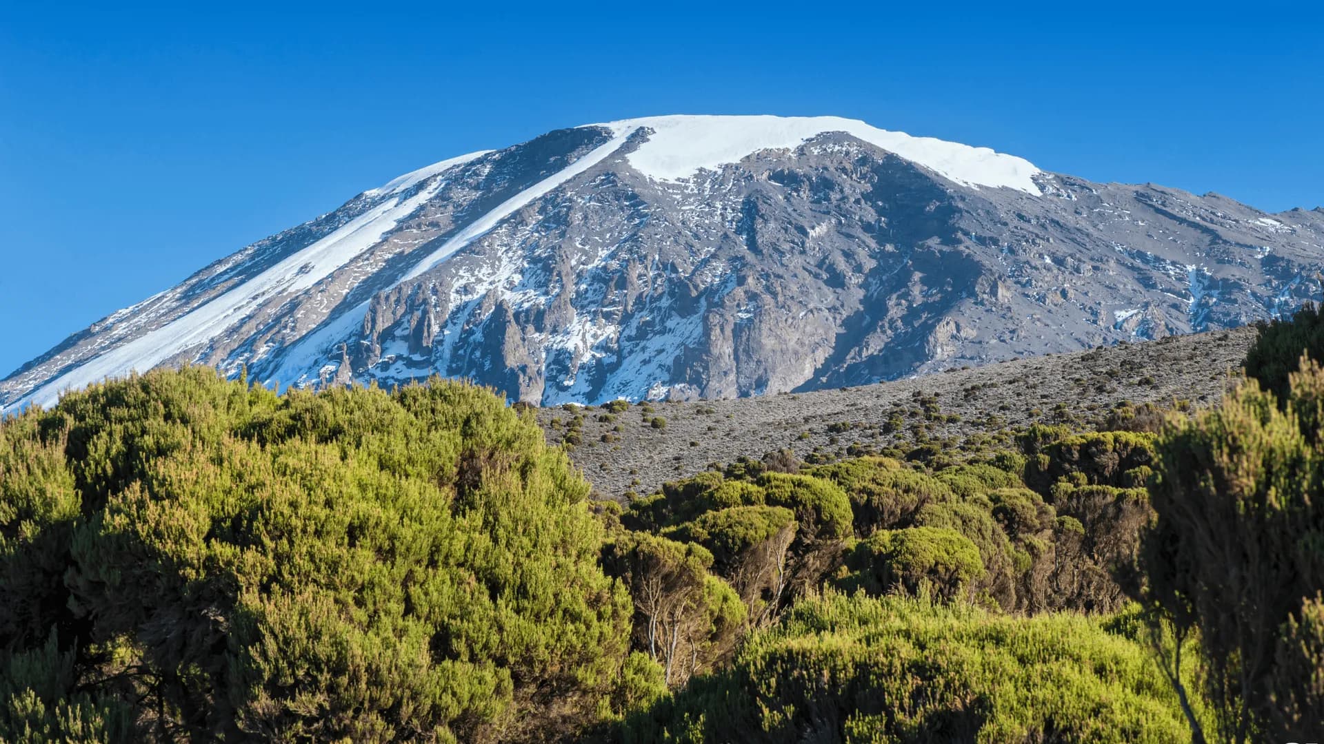 Arusha & Kilimanjaro
