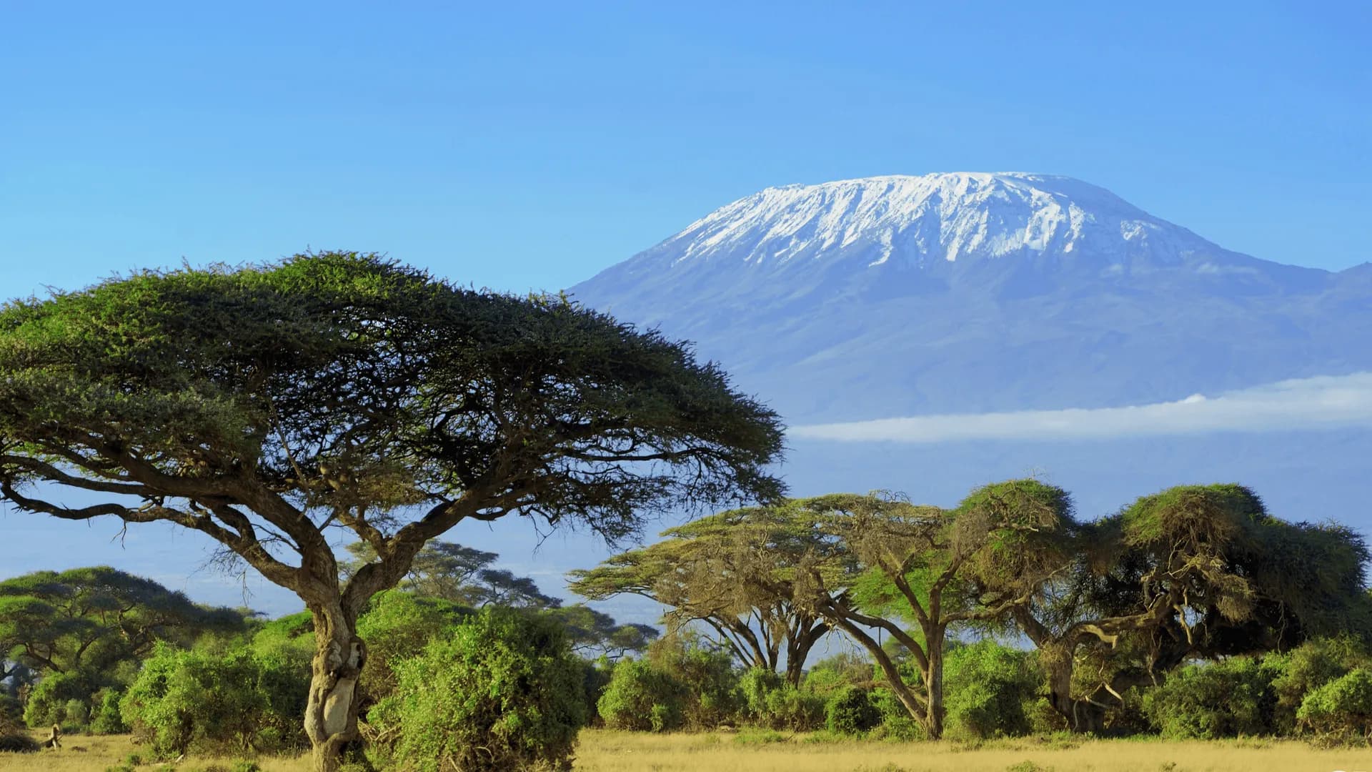 What Does a Kilimanjaro Climb Actually Cost in 2026?