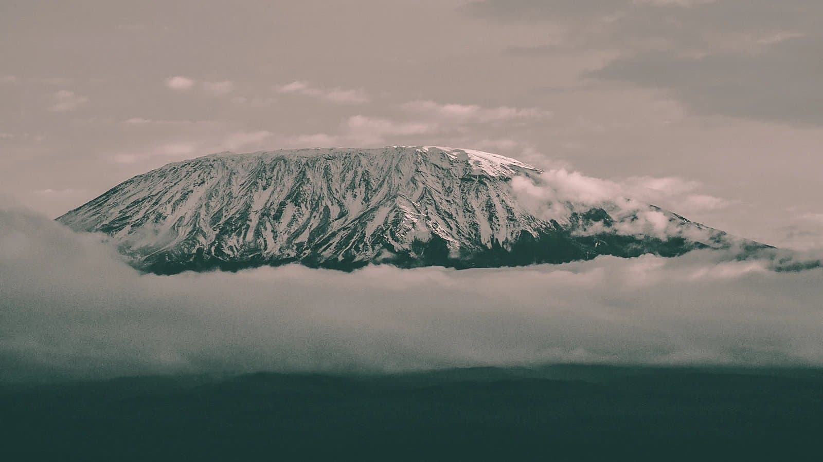 Wide scenic view of Kilimanjaro emerging above the clouds