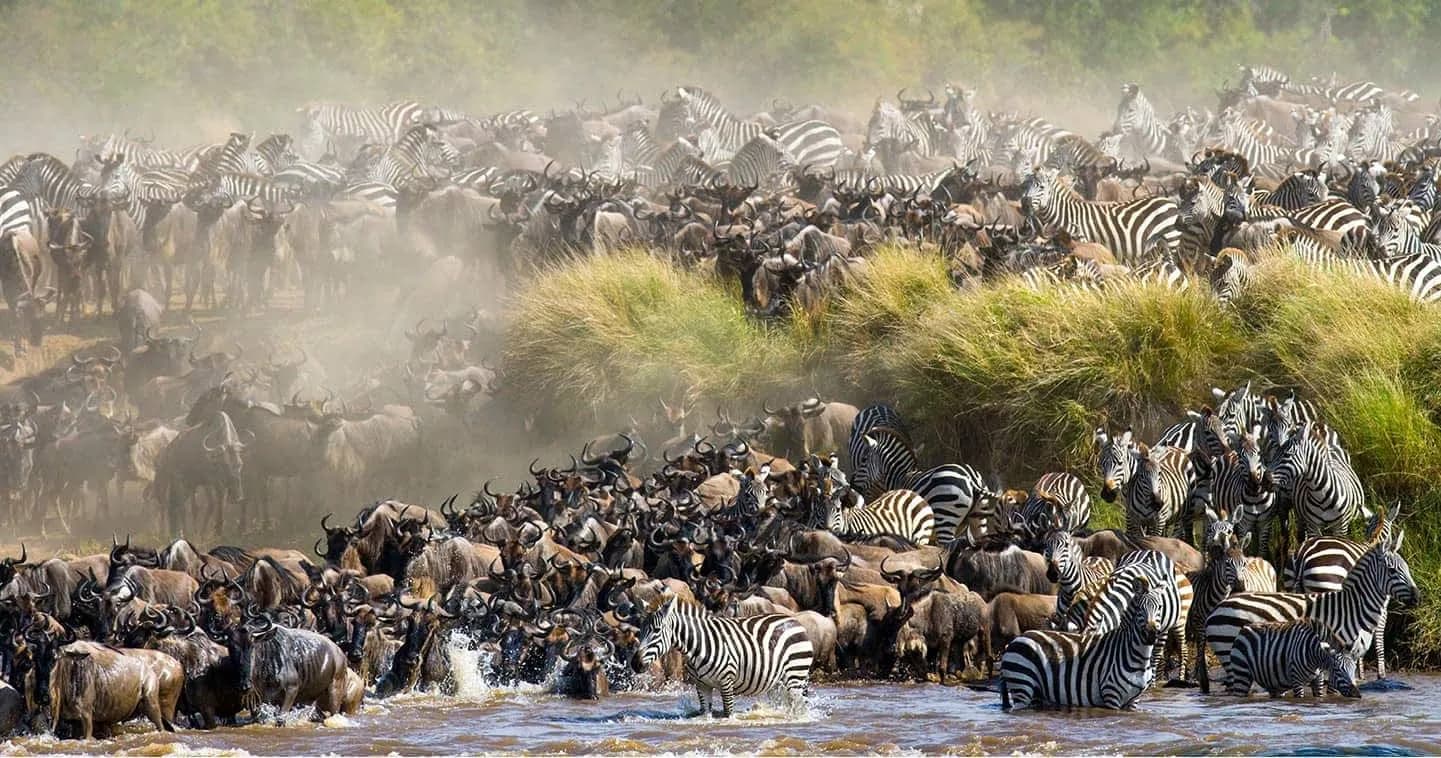 Masai Mara, Kenia