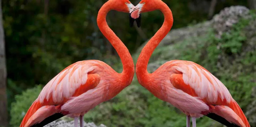 Lake Nakuru National Park