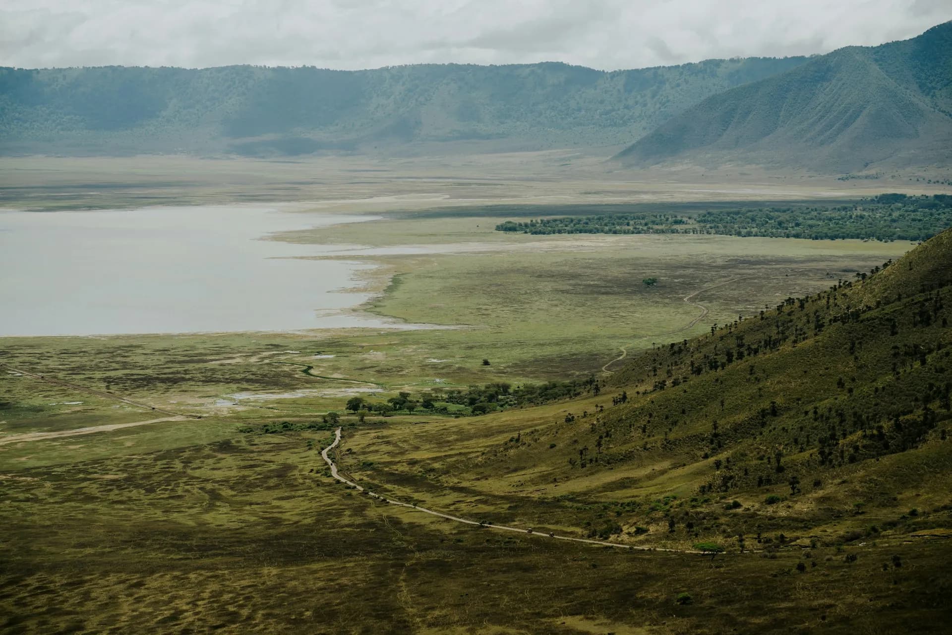 7 Días Safari Serengeti y Ngorongoro