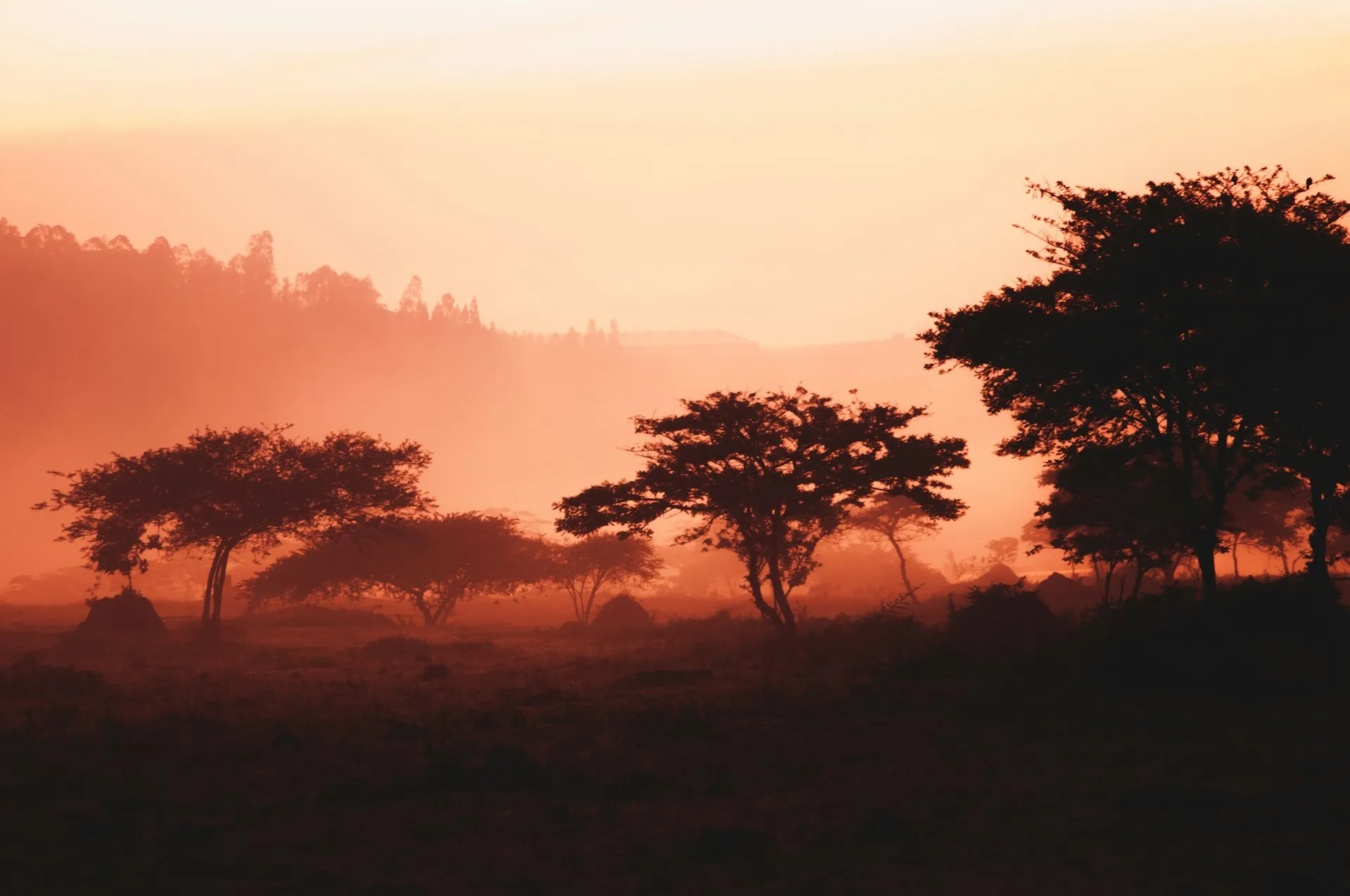 Die Virunga-Vulkanhänge im Nebel