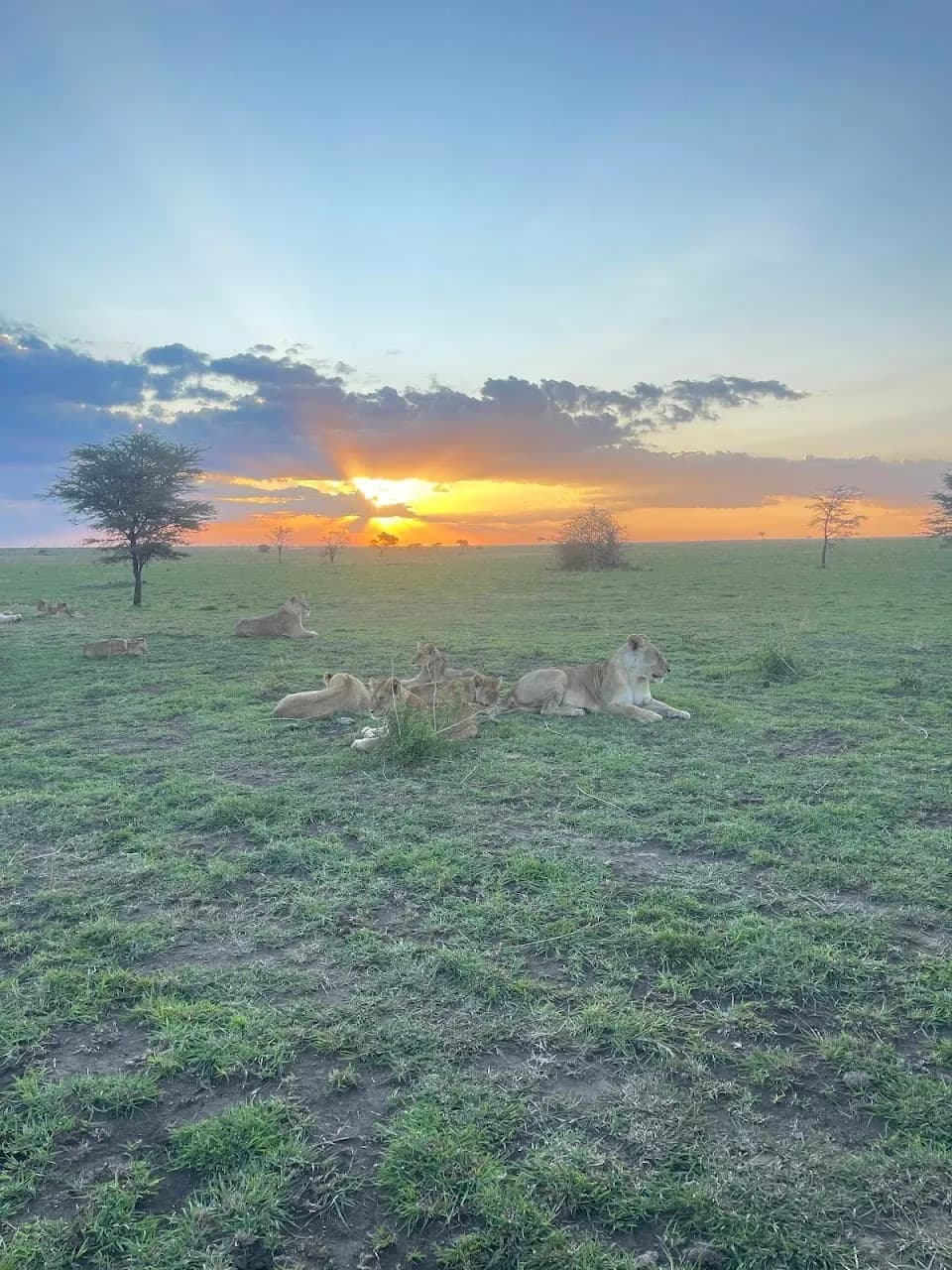 Masai Mara