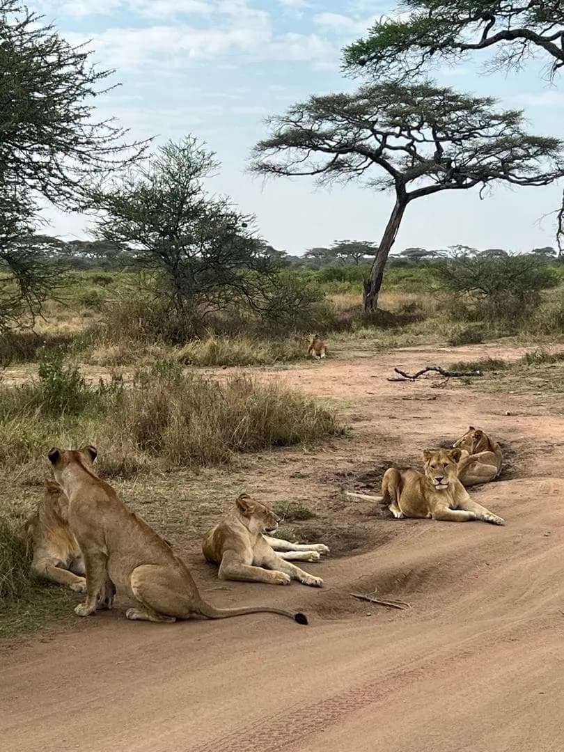 Katavi National Park