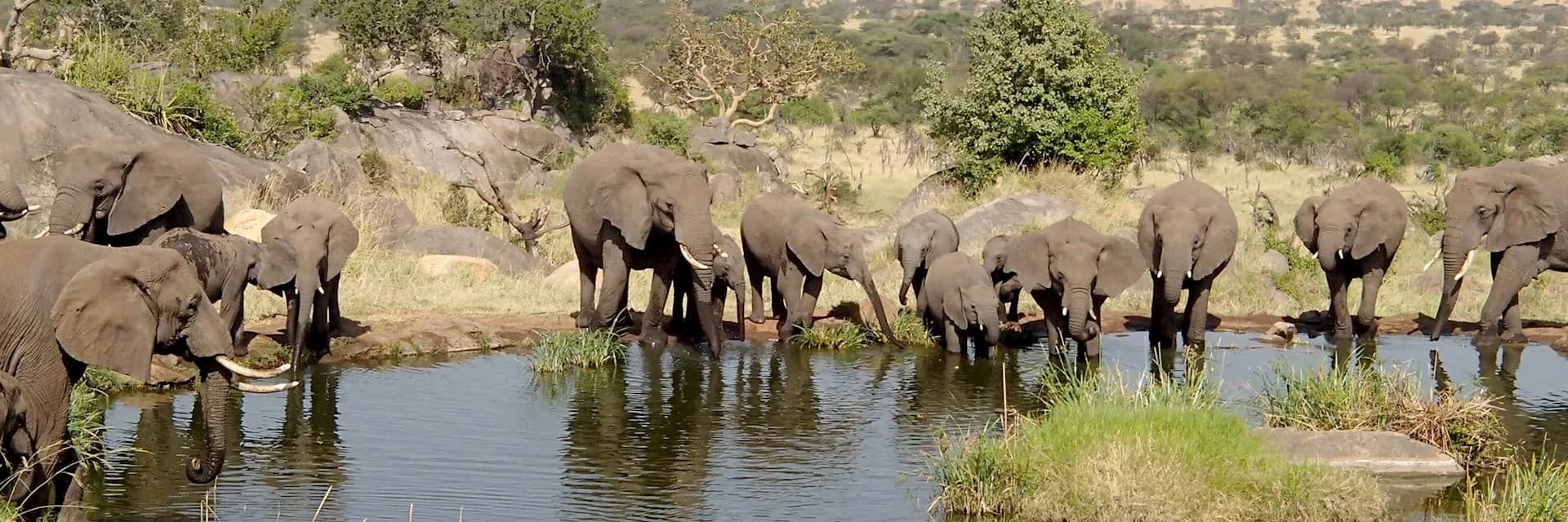 Tarangire National Park