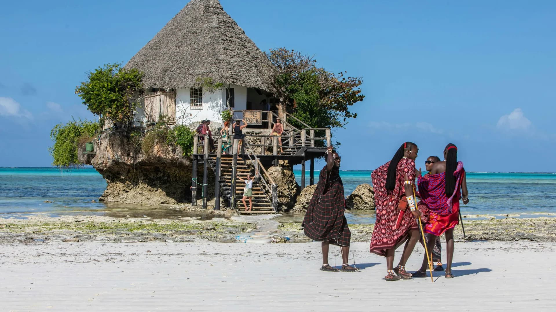 11 Days Southern Wildlife & Spice Isles