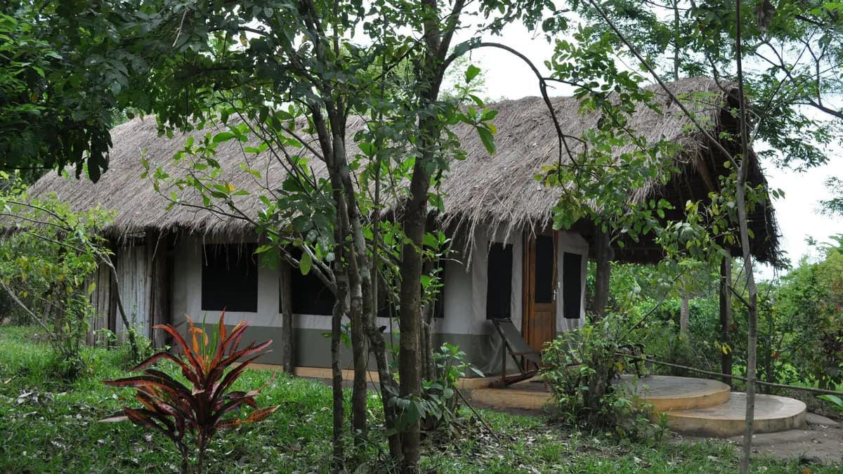 Hondo Hondo Udzungwa Forest Camp