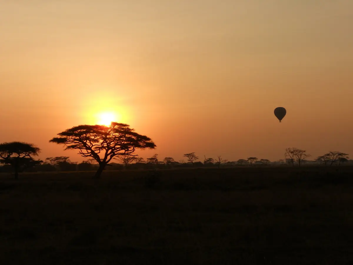 Ndutu Kati Kati Tented Camp