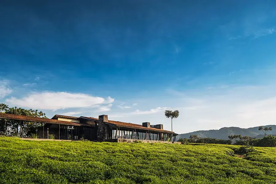 One&Only Nyungwe House