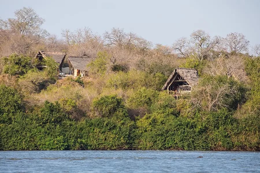 Sand Rivers Selous
