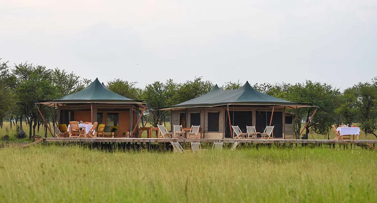 Serengeti Queens Camp