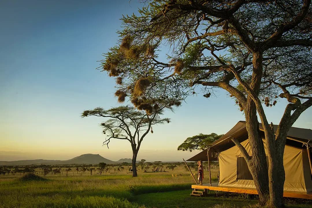 Siringiti Serengeti Camp