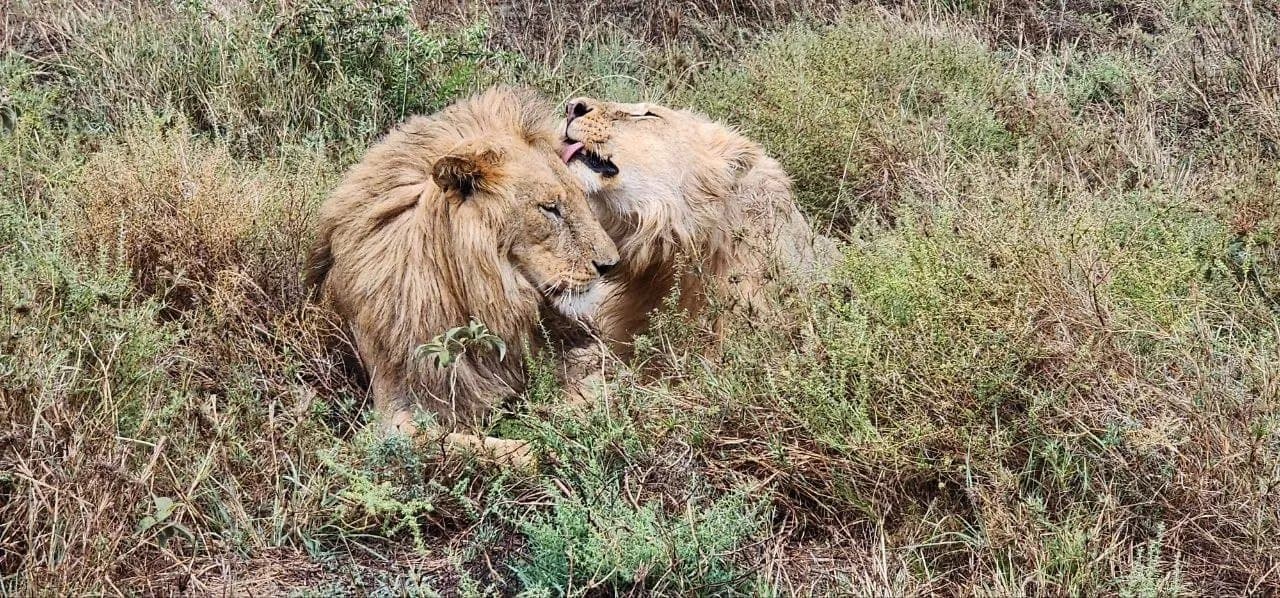 Ruaha-Nationalpark