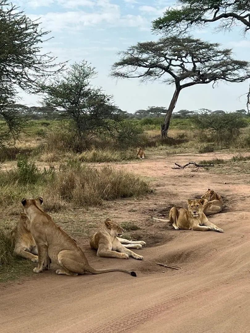 Katavi-Nationalpark