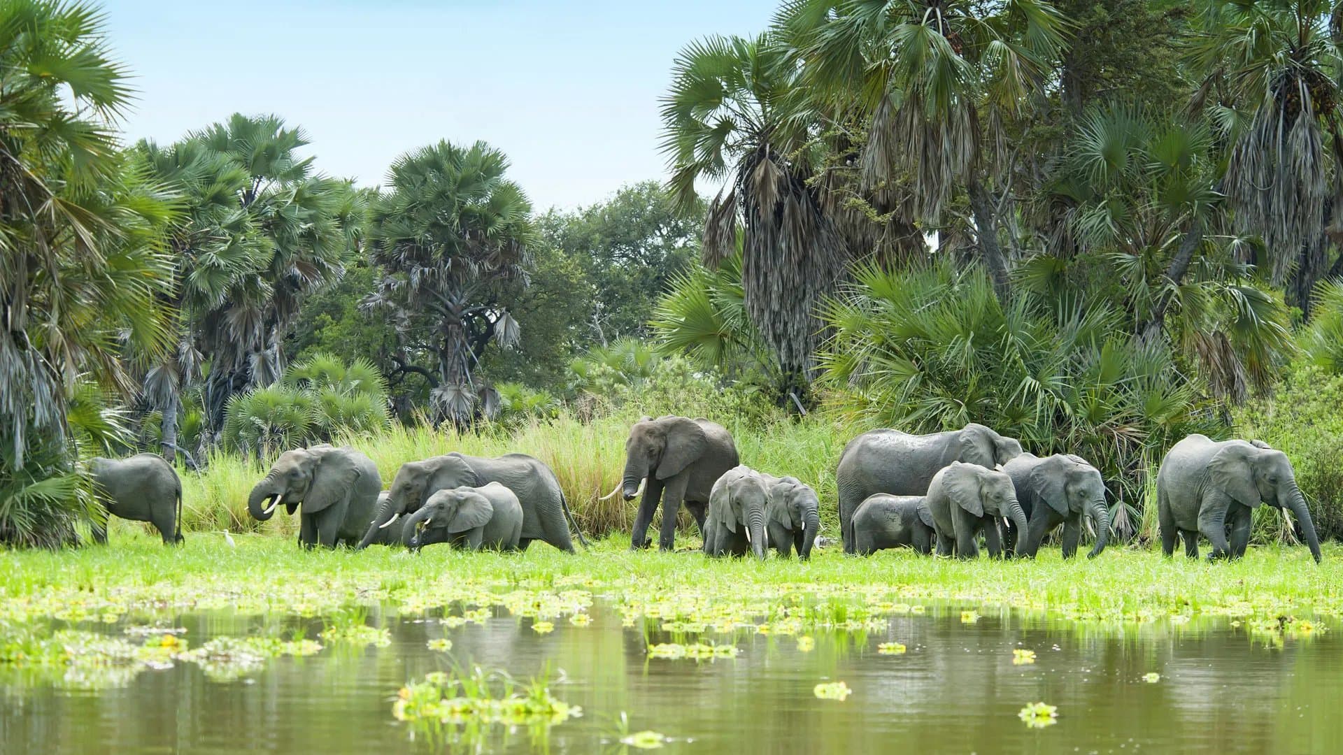 Nyerere-Nationalpark (Selous)