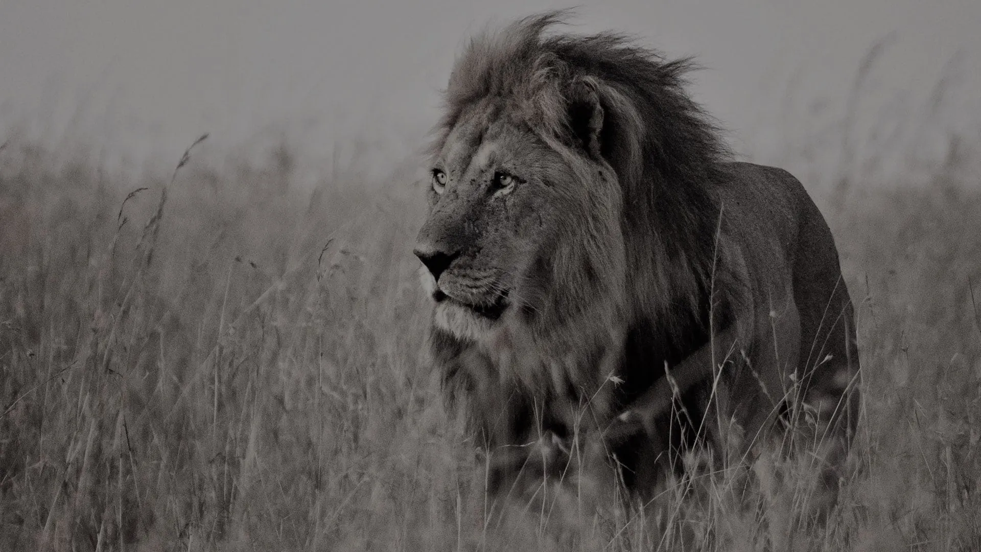 Best Time to Visit Tanzania